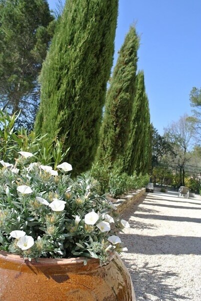 Hôtel Côté Ventoux