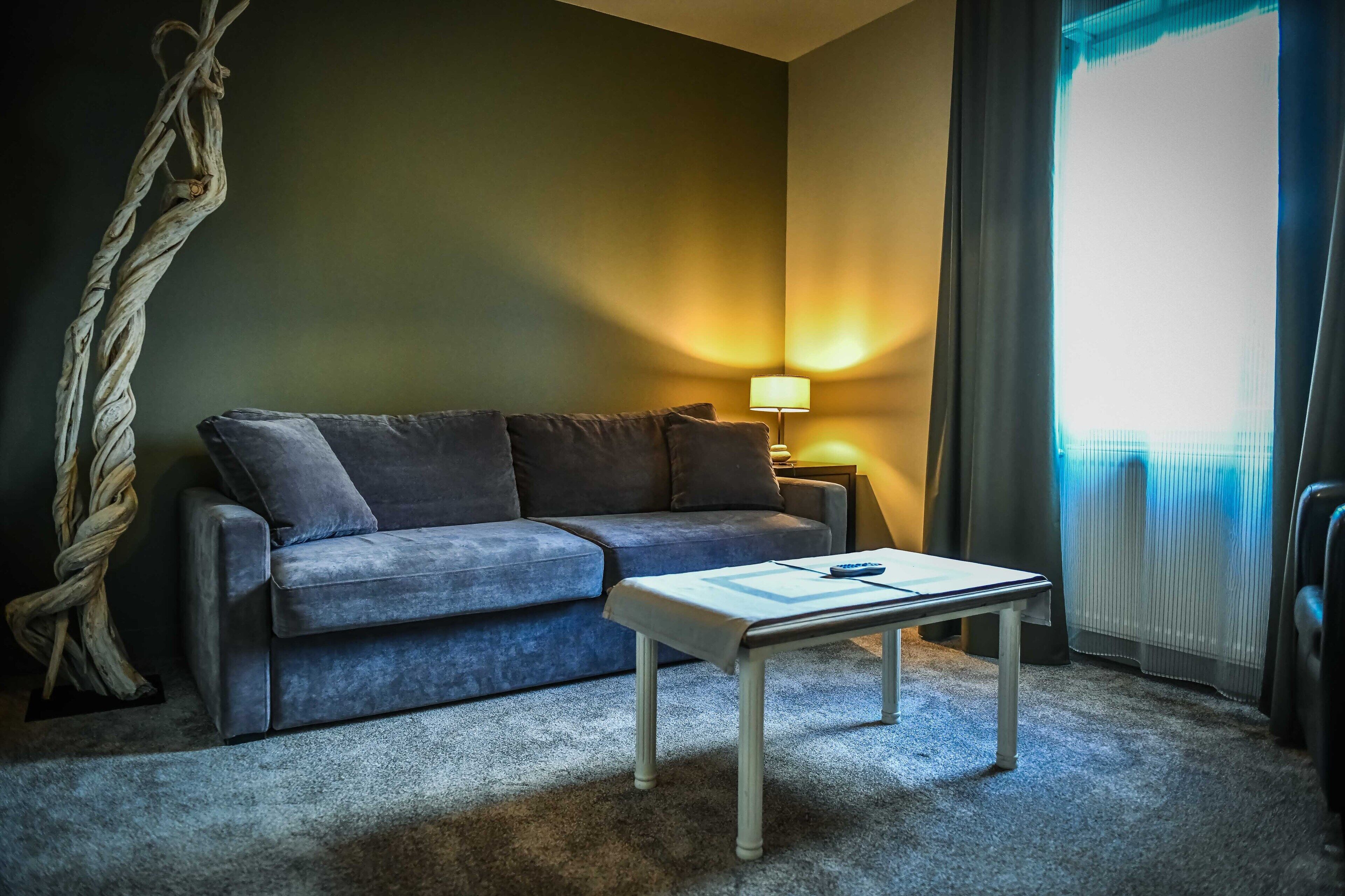 junior suite (appartment pavillon) | living room | flat-screen tv