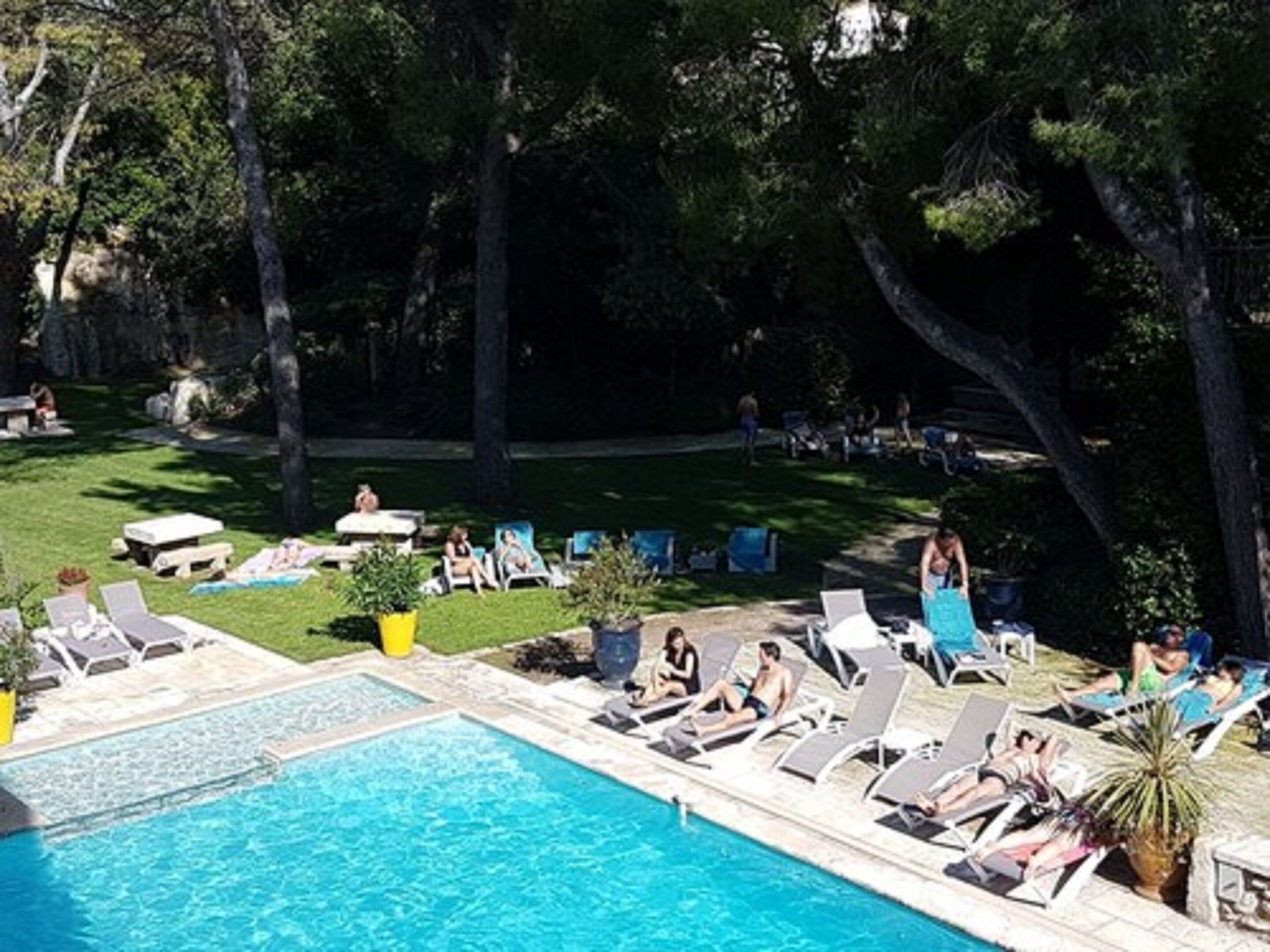 Une piscine avec des chaises longues et un espace verdoyant agrémenté d’arbres.