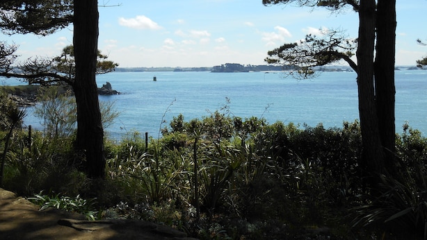 Une vue sur la côte, avec un ciel dégagé, une étendue d’eau et des arbres qui encadrent le paysage.