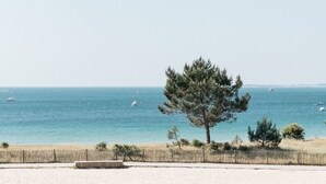 A coastal view with a sandy beach, a wooden fence, and a pine tree. - Le Diana Hotel and Spa (Carnac)