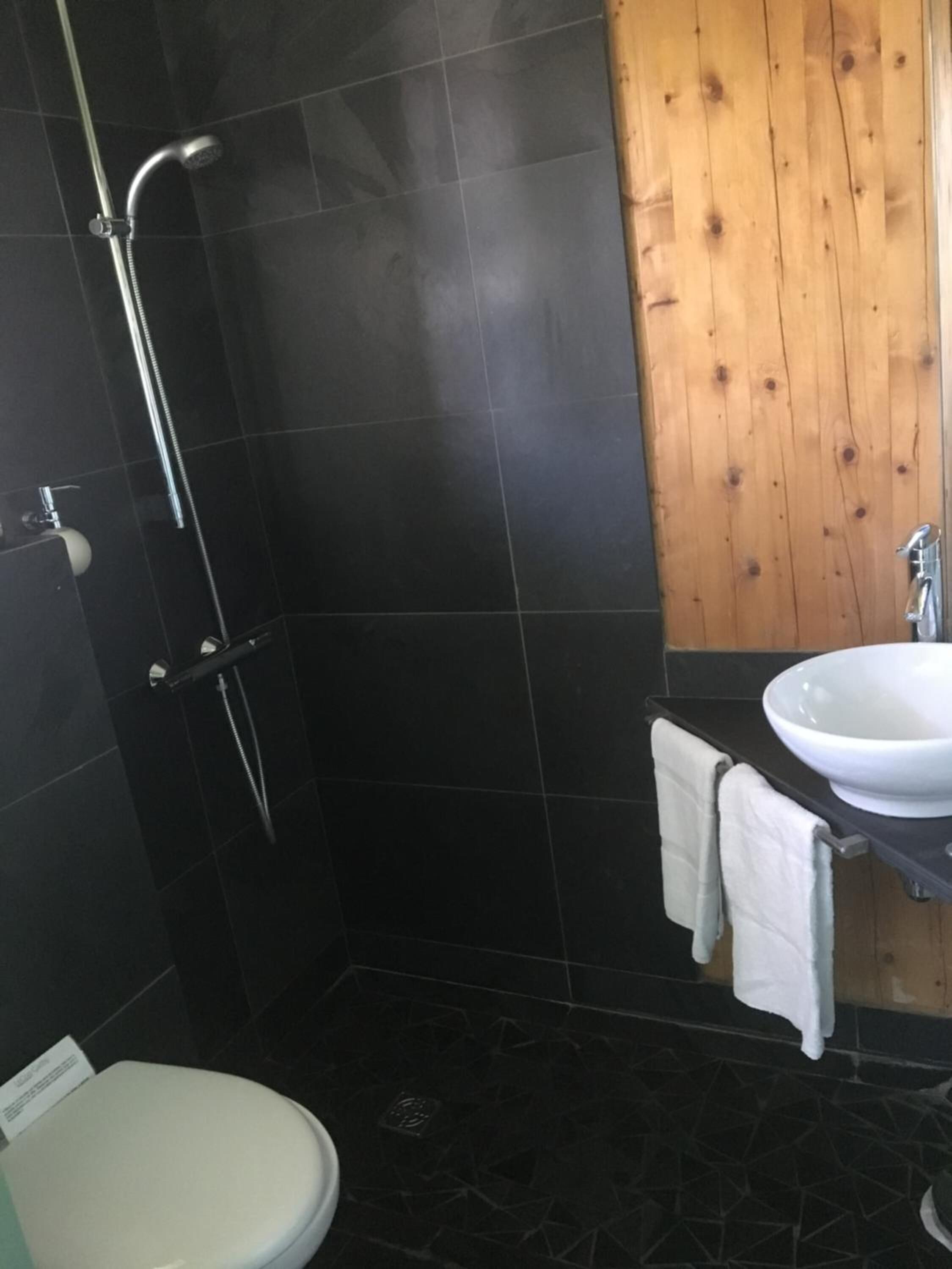 Een badkamer met douche, toilet en wastafel.