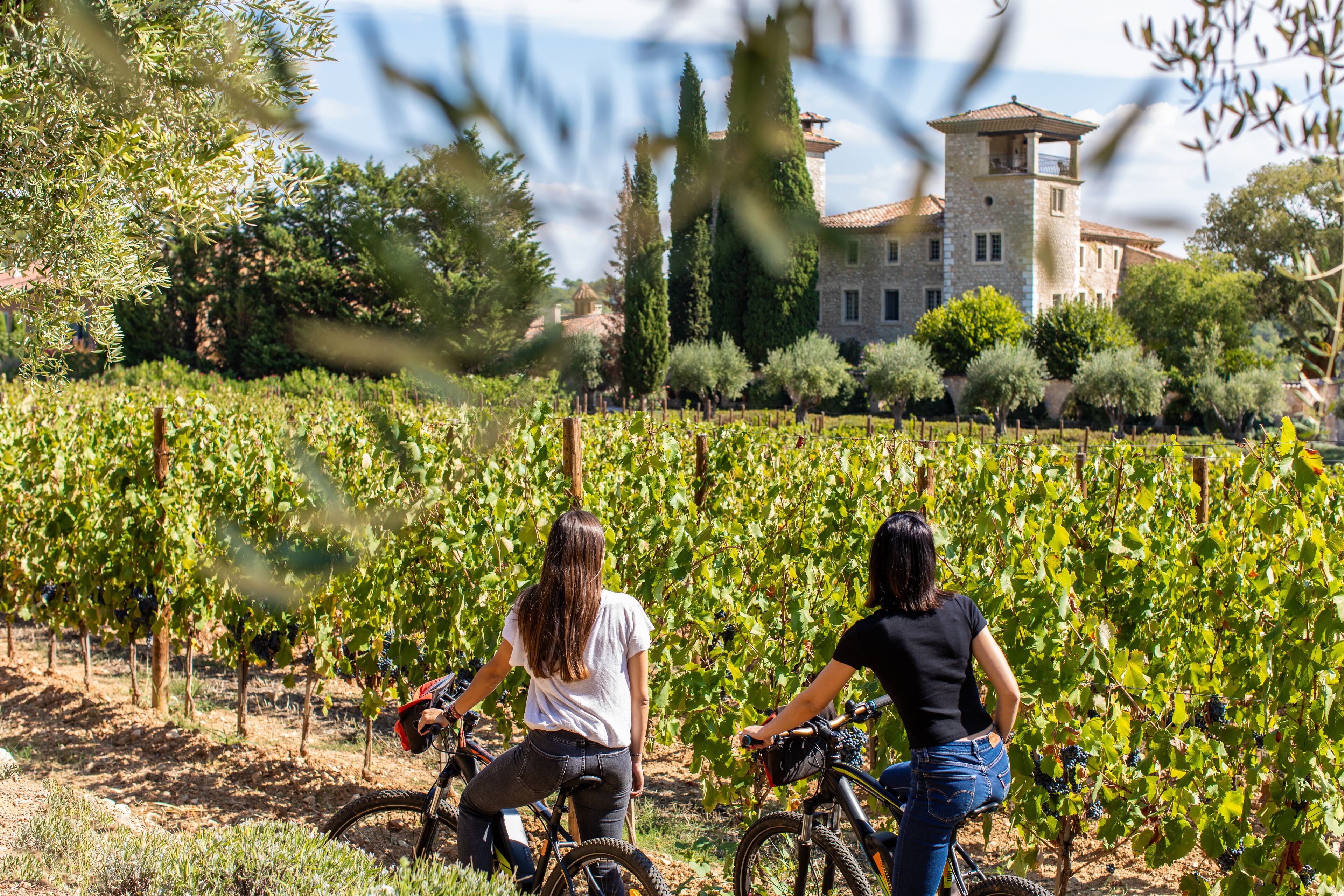 Two people riding bicycles in a vineyard with a large building in the background.
