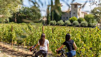 Two people riding bicycles in a vineyard with a large building in the background.