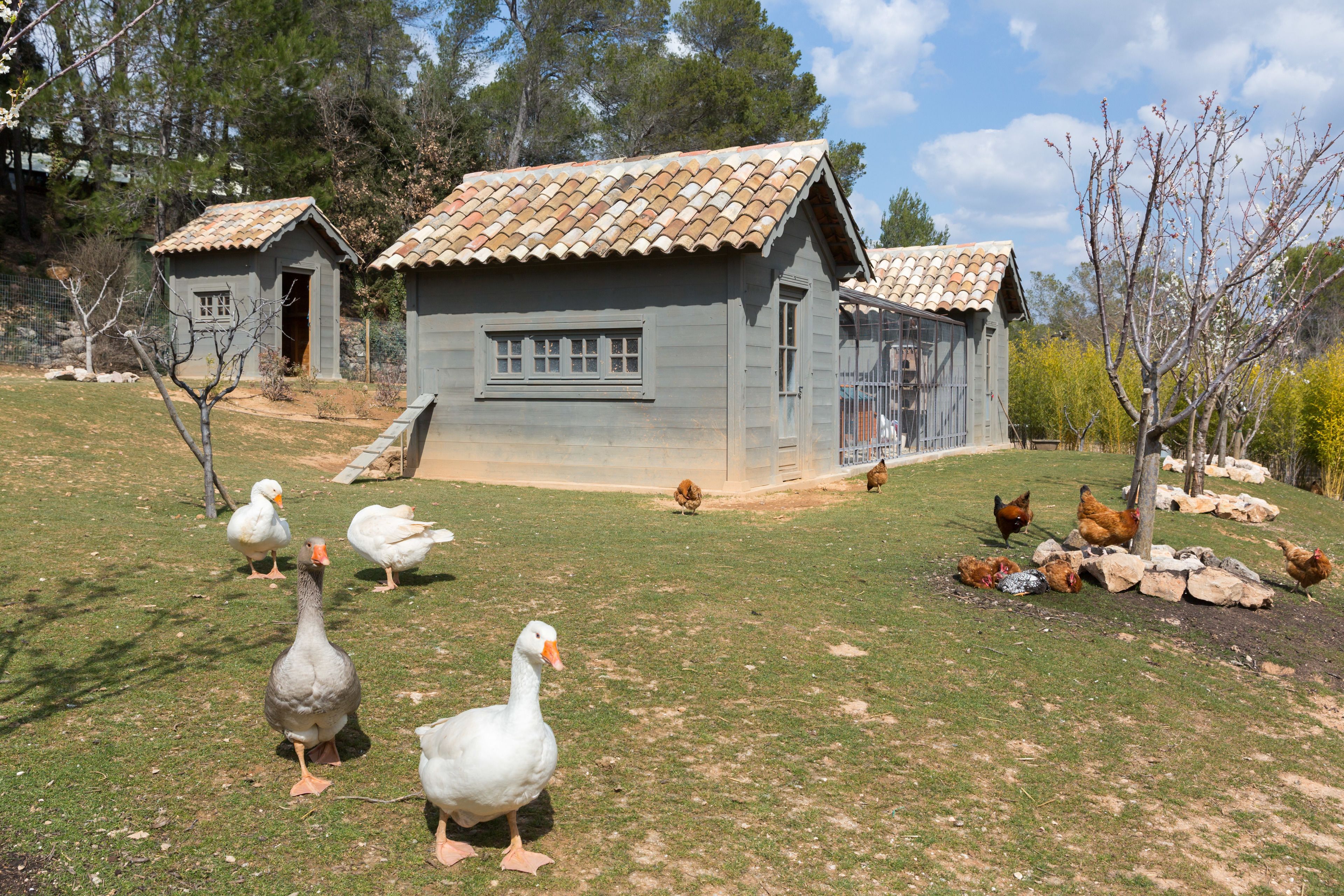 children’s activities