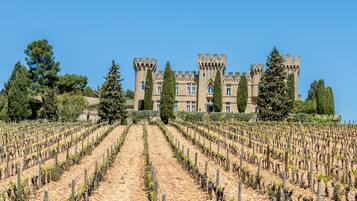A castle with a vineyard in the foreground and a large building with towers in the background.