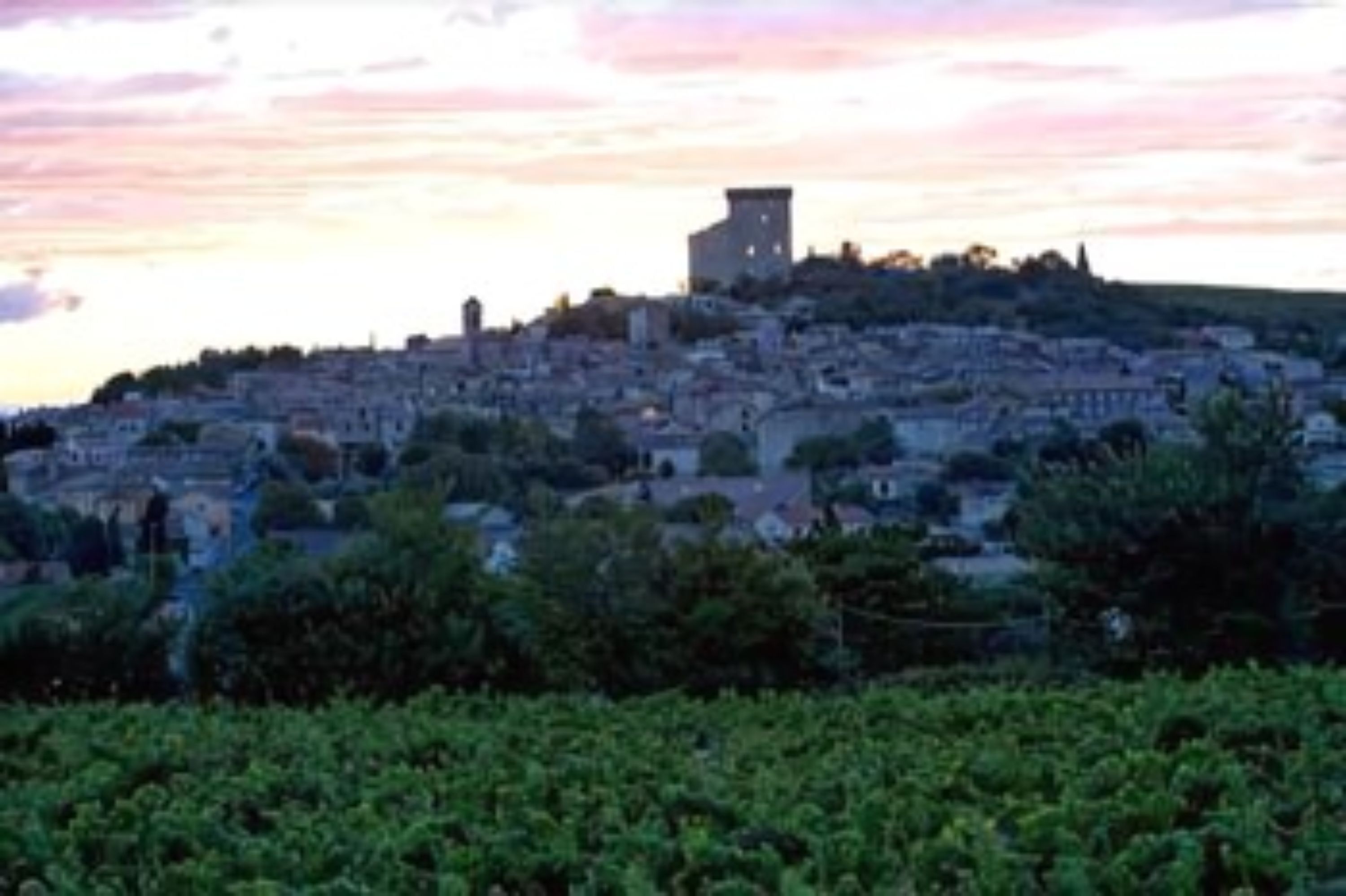 A cityscape with a prominent tower on a hill, surrounded by vineyards.