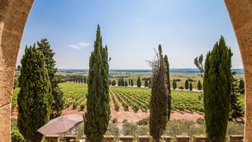 A vineyard view through an arched window with tall cypress trees framing the scene.