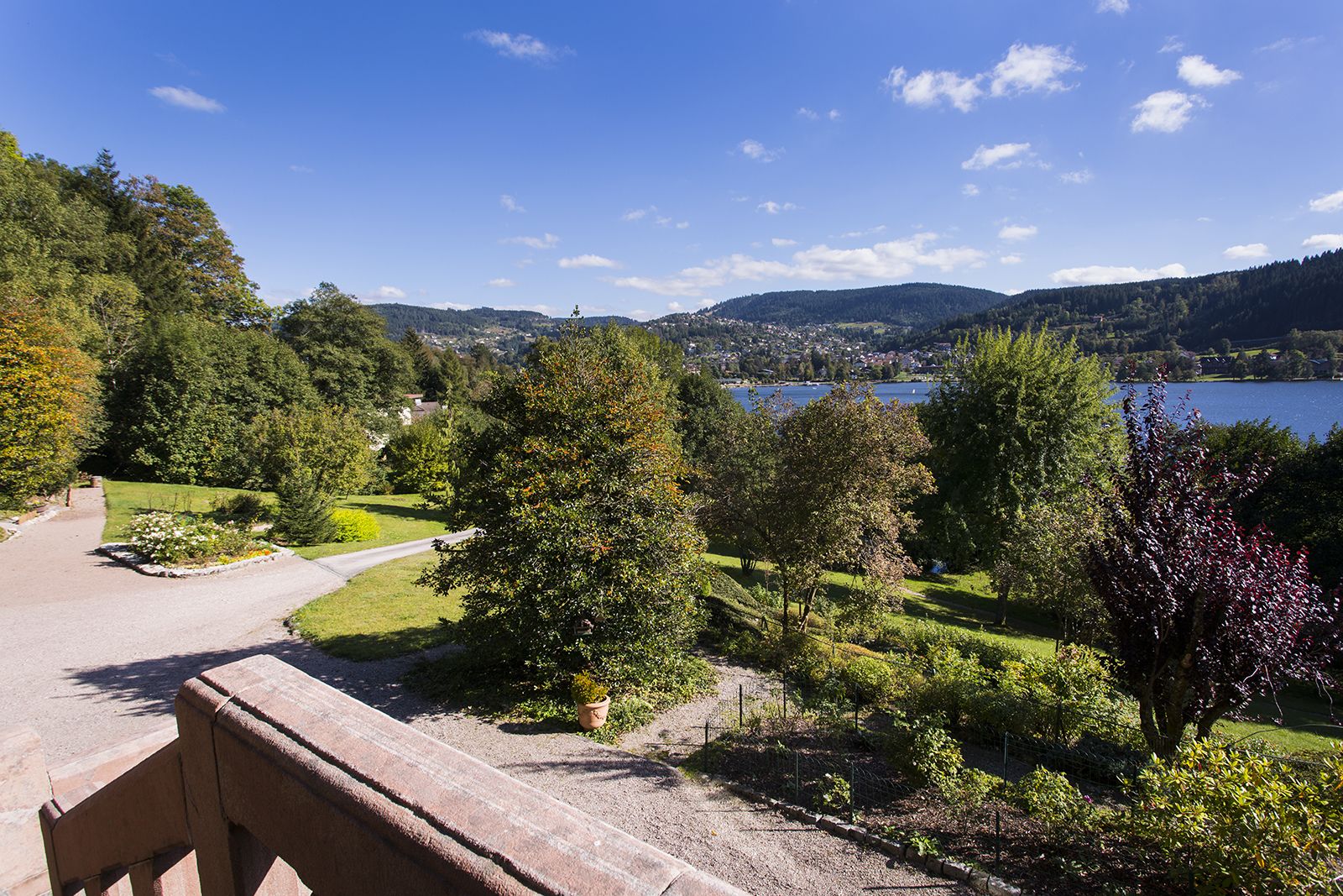 A scenic view of a park with a lake, trees, and a distant town.