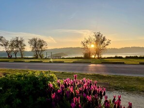 A park with a road, trees, and a sunset over a body of water. - Hôtel Sports & Spa La Voile d'Or (Plurien)