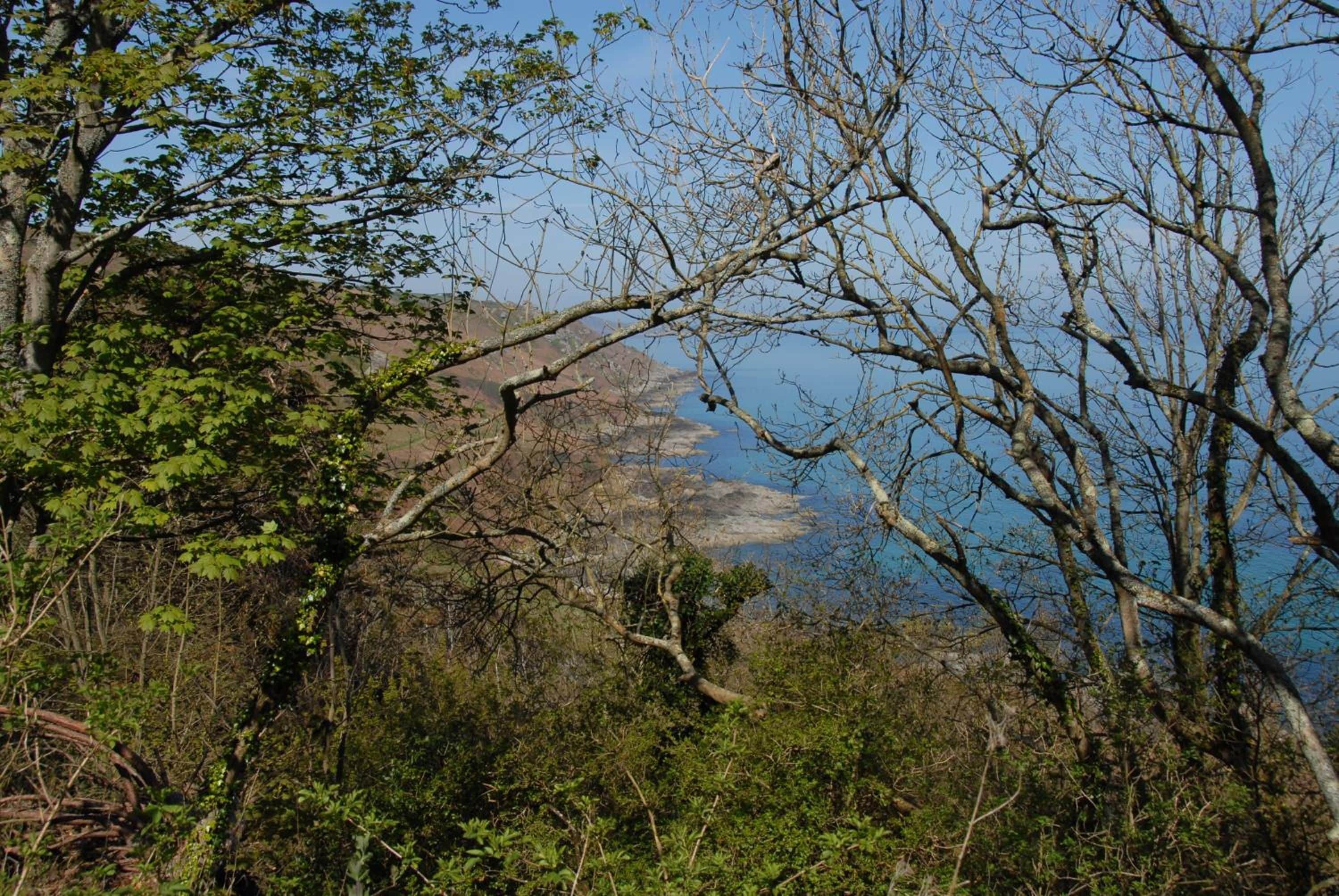 منوع