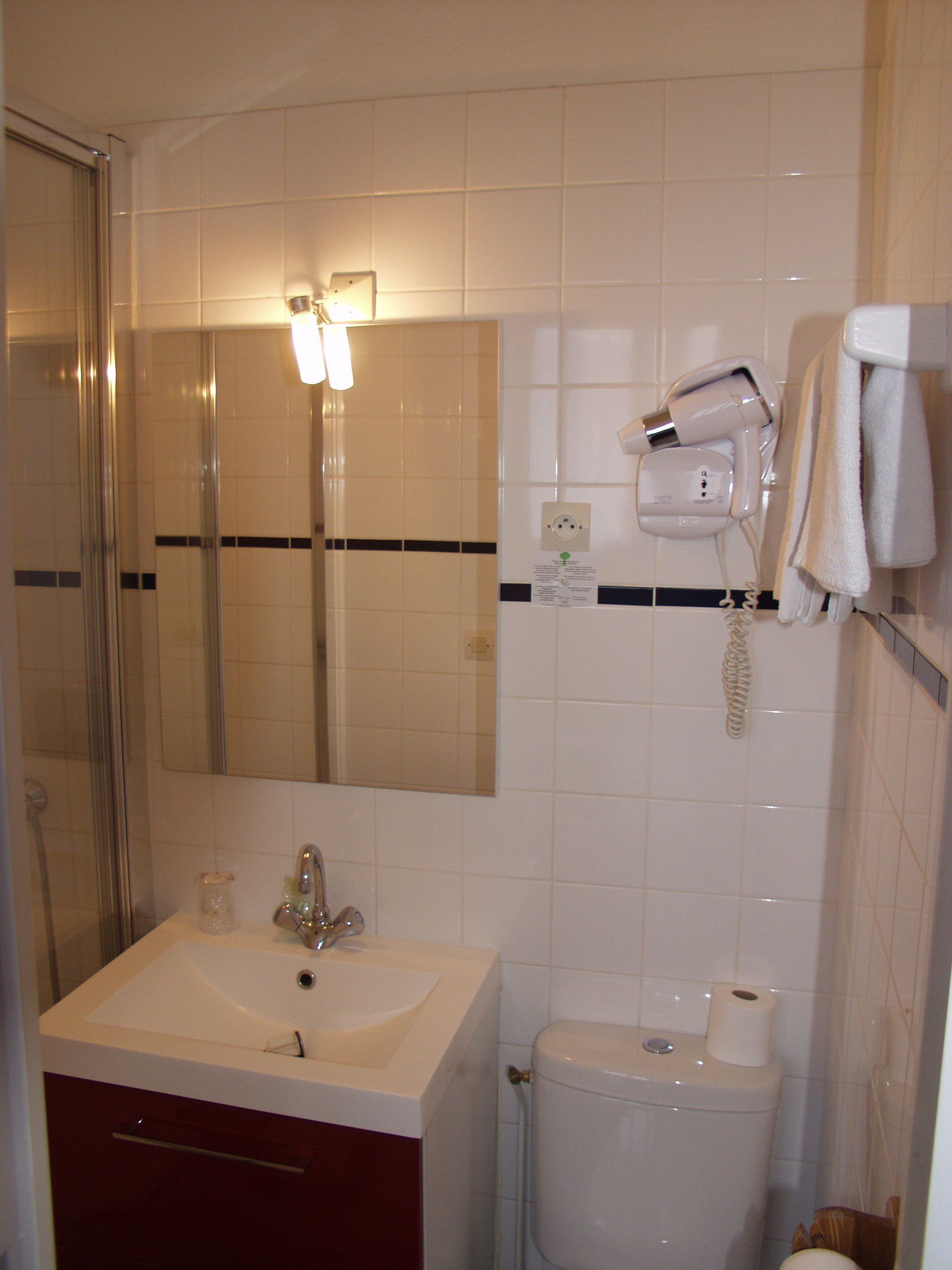 single room | bathroom | shower, hair dryer, towels