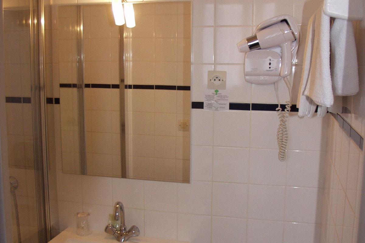 single room | bathroom | shower, hair dryer, towels