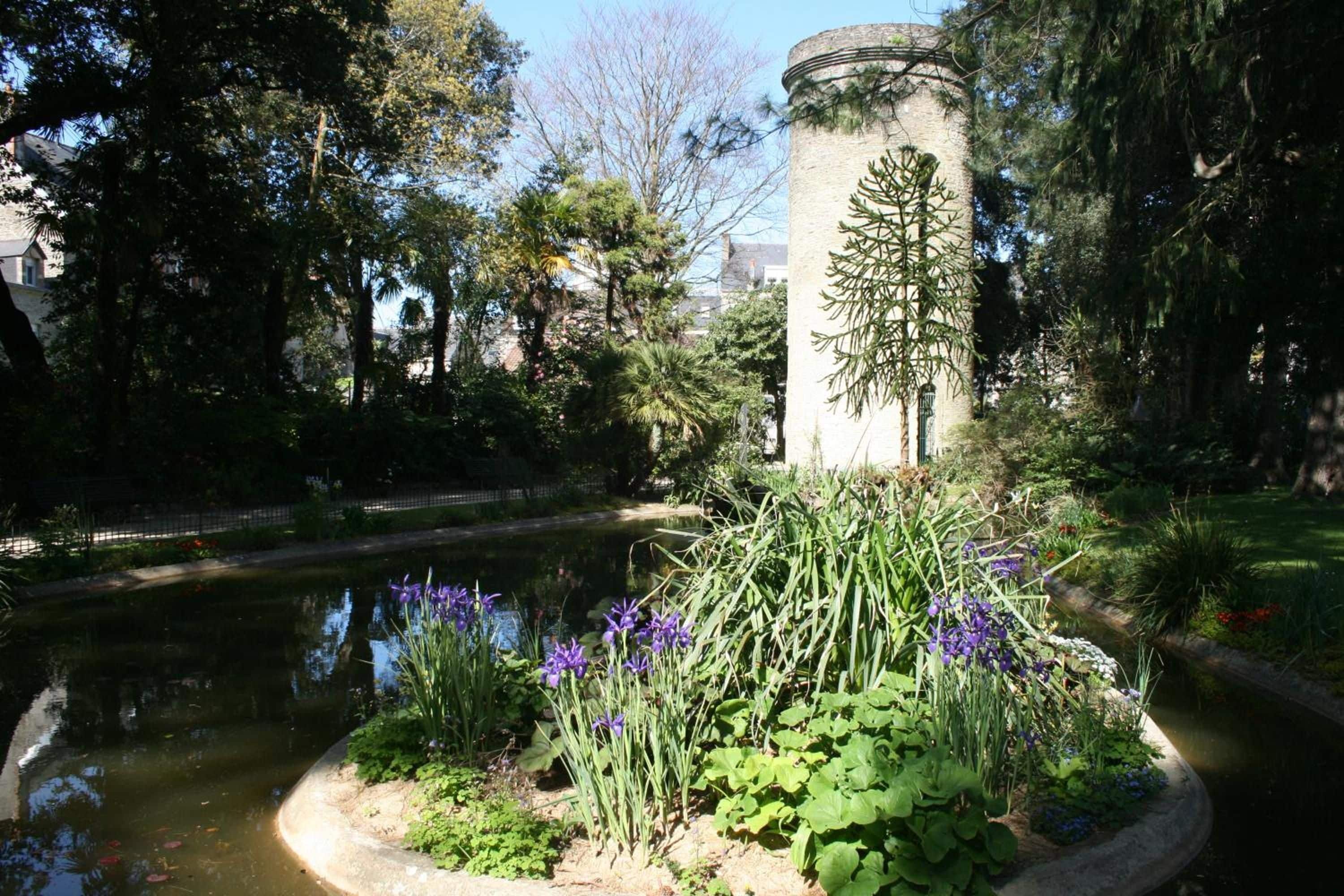 A garden with a pond, various plants, and a central column with a tree design.