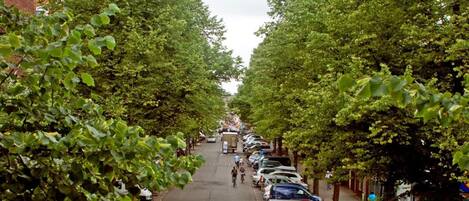 A tree-lined street with parked cars and pedestrians.