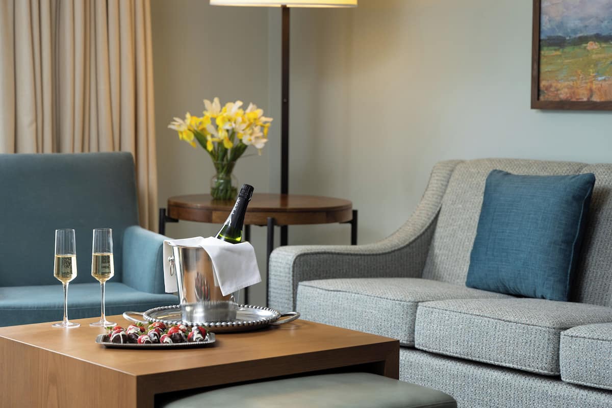 Standard Suite | Living area | Flat-screen TV, DVD player