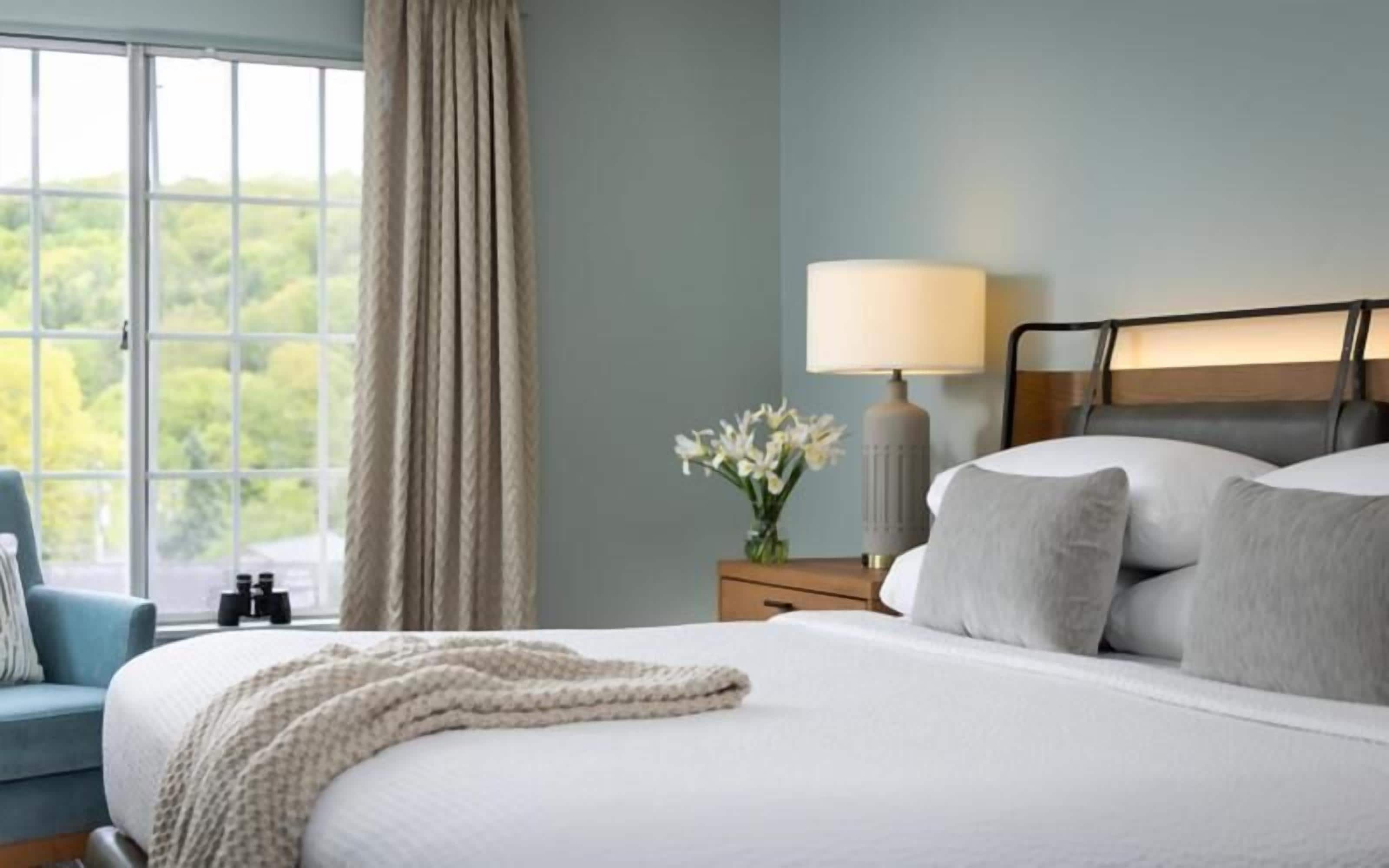A hotel room with a bed, a nightstand, a lamp, a window with curtains, and a view of greenery outside.