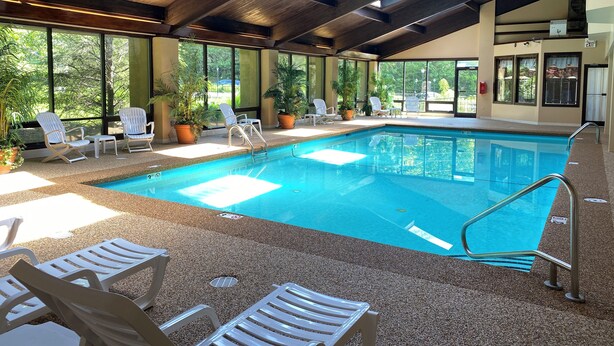 An indoor swimming pool with clear views of the outdoors, surrounded by lounge chairs and potted plants. - Meadowbrook Inn (Blowing Rock)