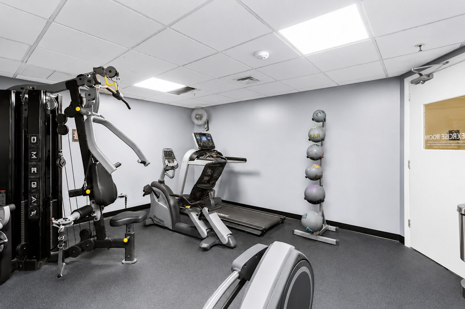A gym with exercise machines, a treadmill, and a wall-mounted medicine ball rack.