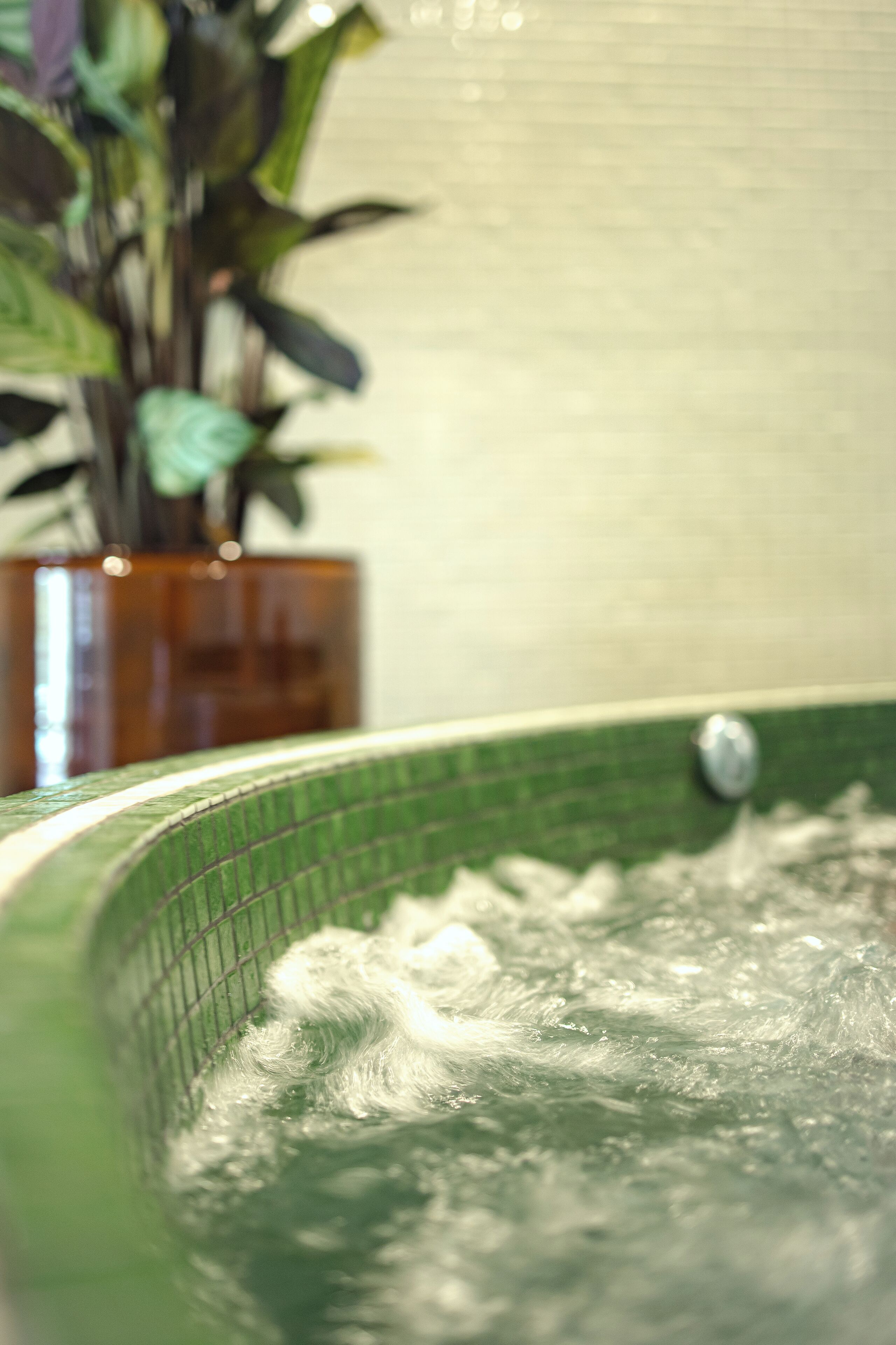Une baignoire verte remplie d’eau, une plante en pot et un meuble en bois à l’arrière-plan.