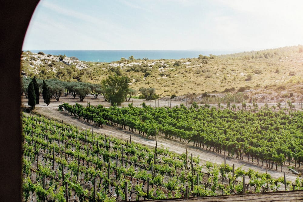 Château l'Hospitalet Wine Resort