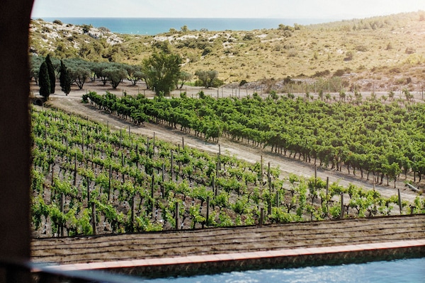 Blick von der Unterkunft