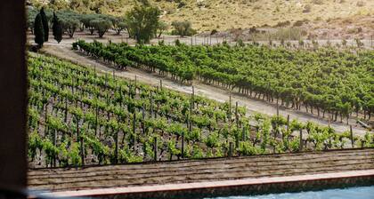 Château l'Hospitalet Wine Resort