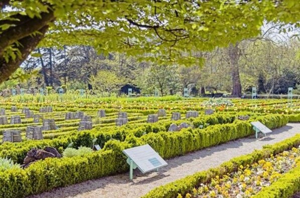 أنشطة الأطفال