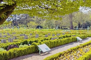 Children's activities