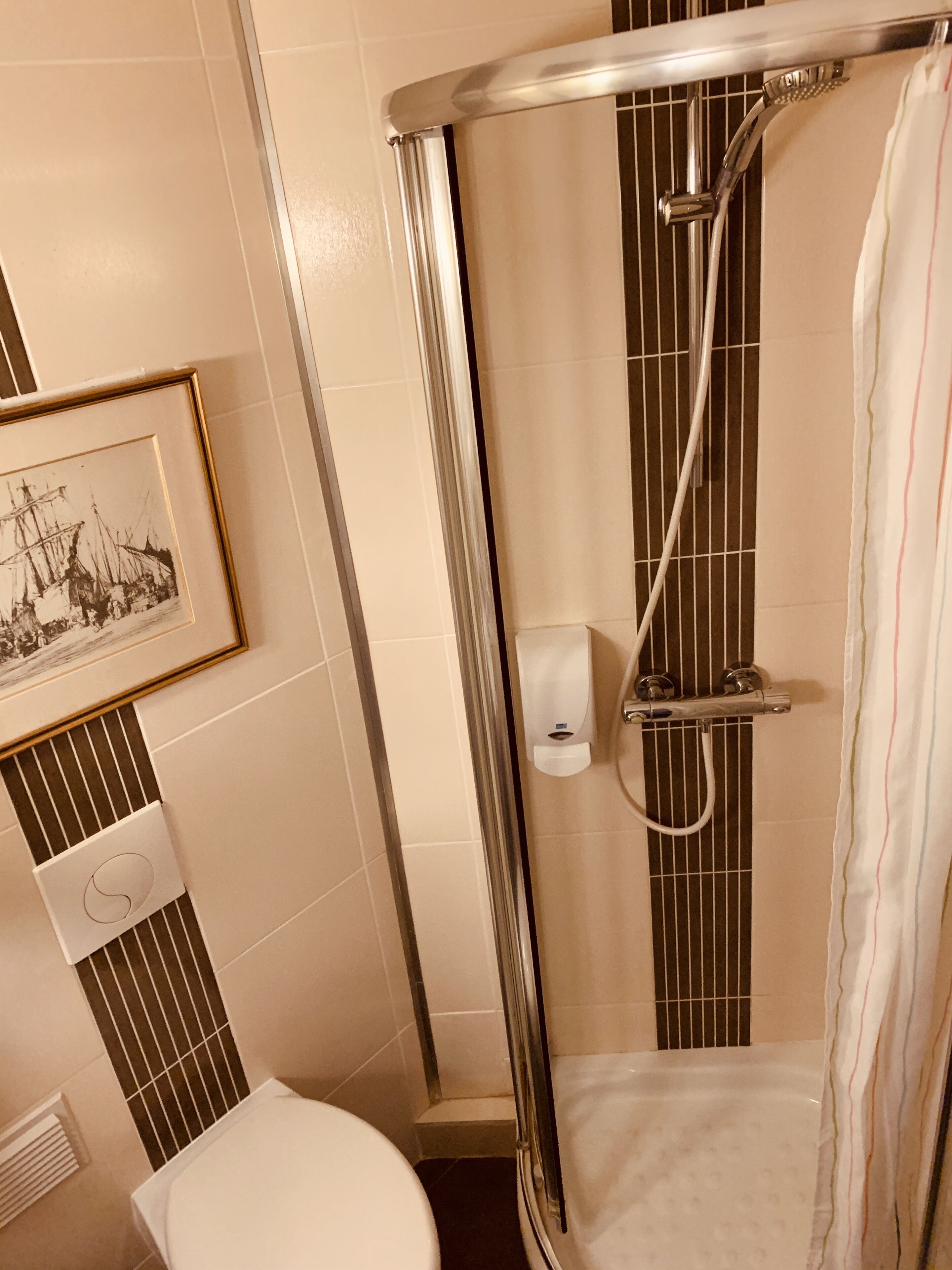 Un baño con ducha, inodoro y un cuadro en la pared.