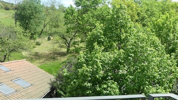 Junior Room | Balcony