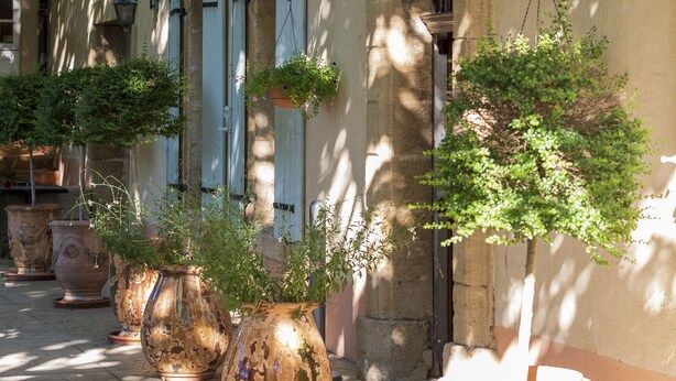 Un bâtiment doté de nombreuses fenêtres, dont certaines sont équipées de volets, et plusieurs grandes plantes en pot disposées à l’extérieur.