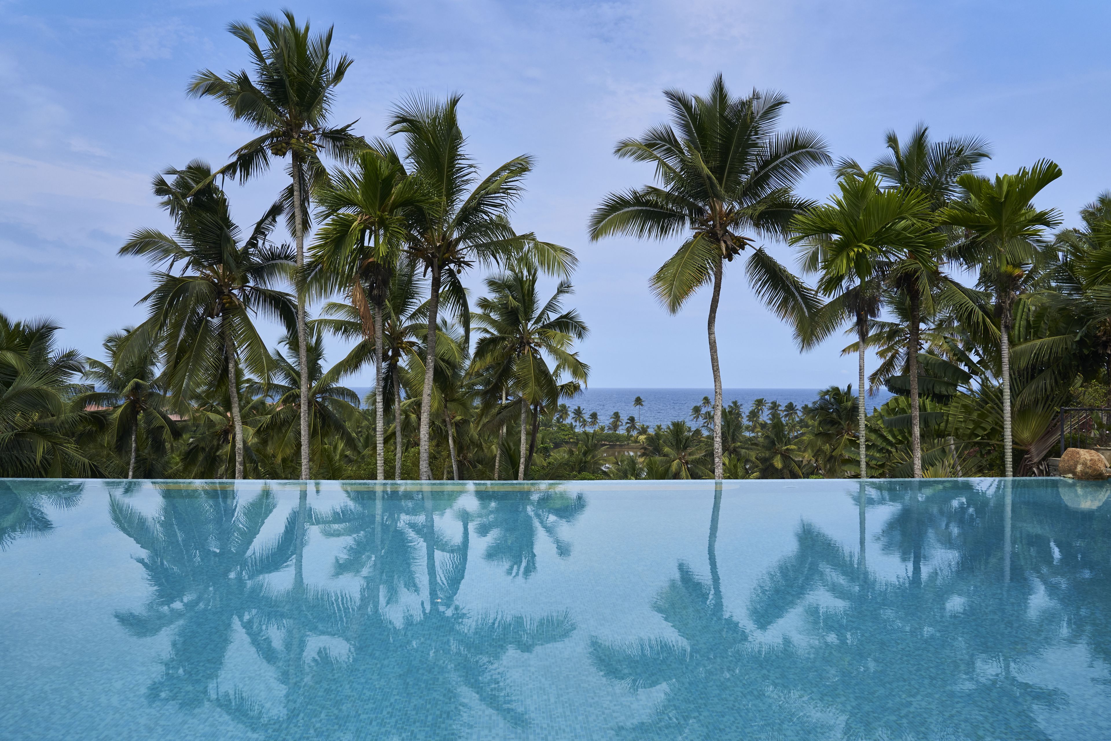 A clear blue infinity pool reflecting palm trees and the ocean.