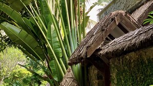 Un sendero rústico bordeado por vegetación exuberante y tradicionales chozas con techo de paja.