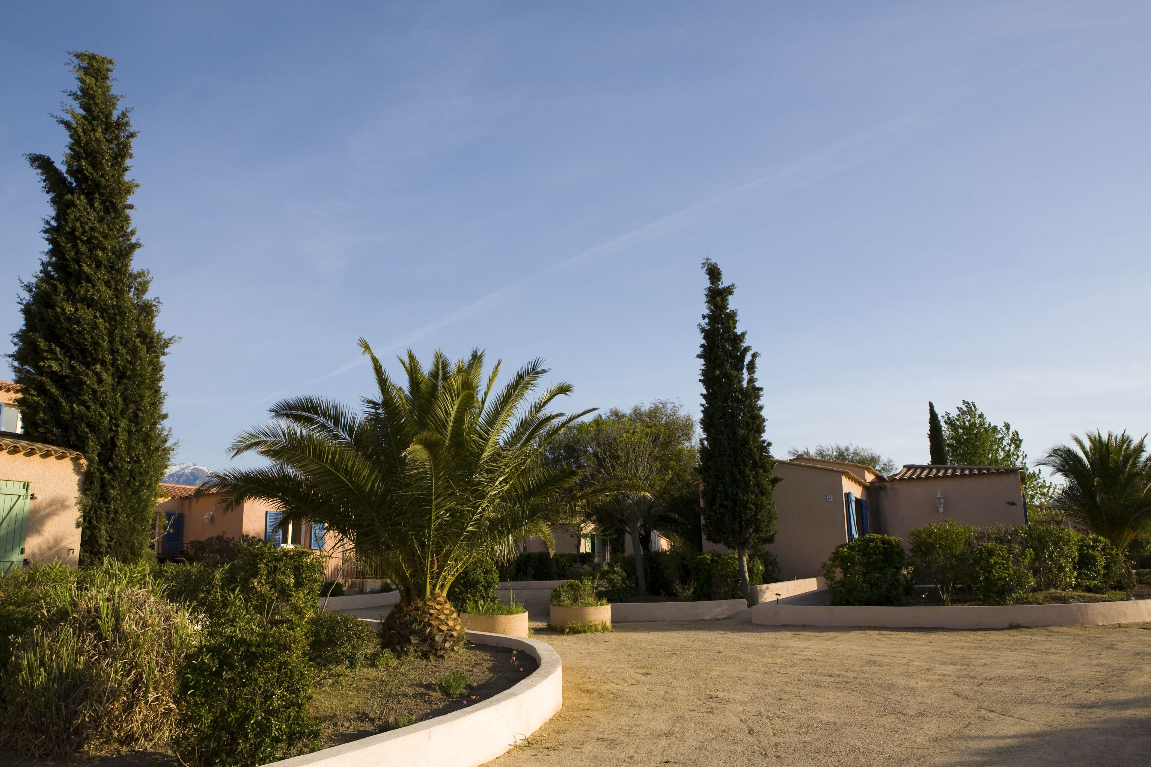 A residential area with houses, palm trees, and a clear sky.