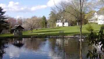 Escape to a serene lakeside haven surrounded by lush greenery and mature trees.