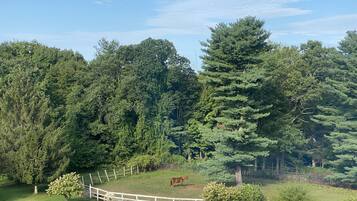 Executive-mökki | Terassi/patio