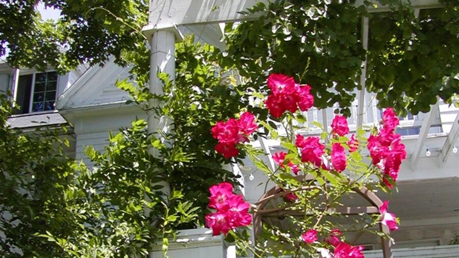 The Inn on the Horse Farm