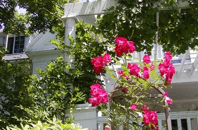 The Inn on the Horse Farm