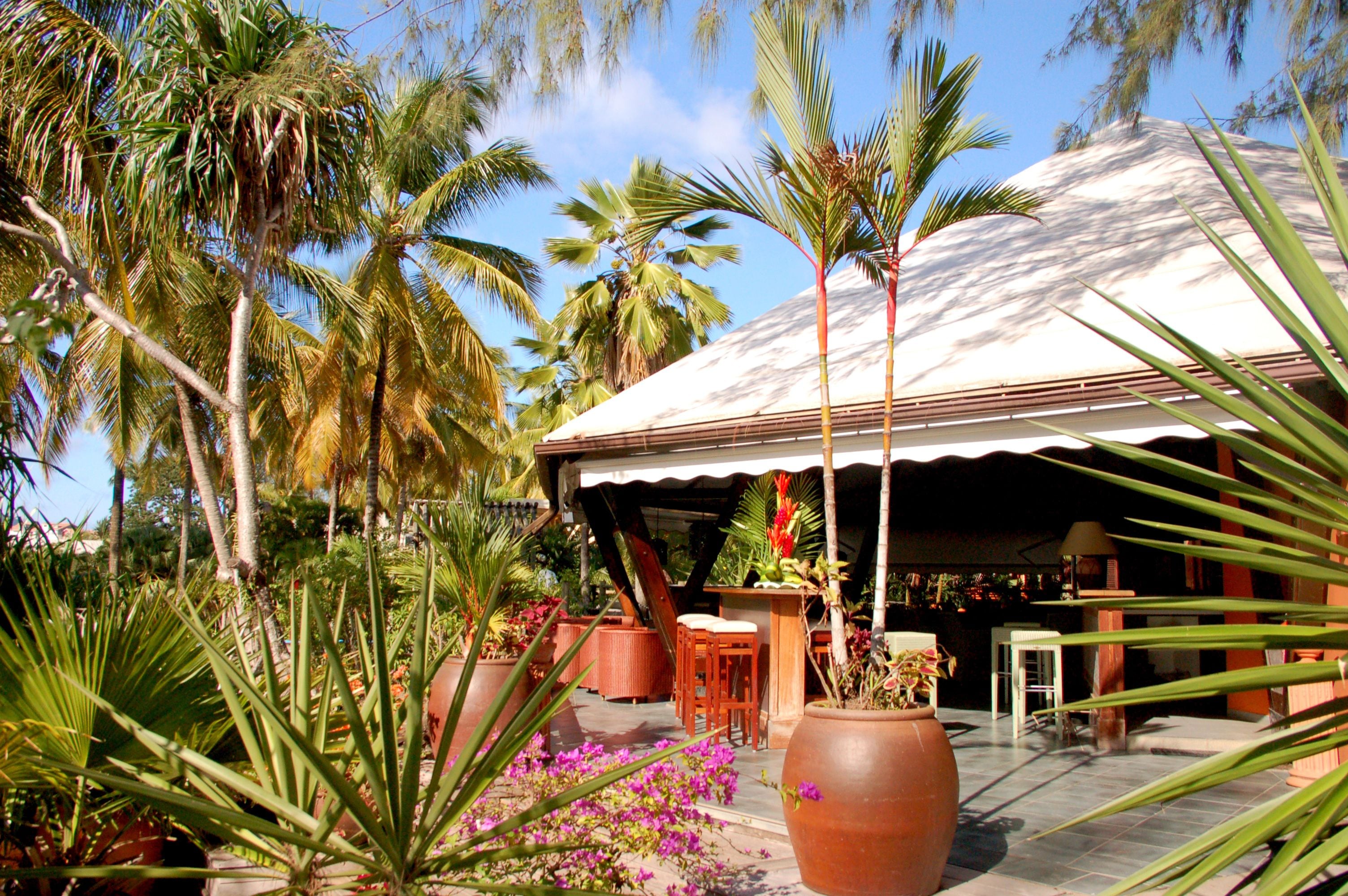 A covered outdoor seating area with wooden furniture, surrounded by potted plants and palm trees.