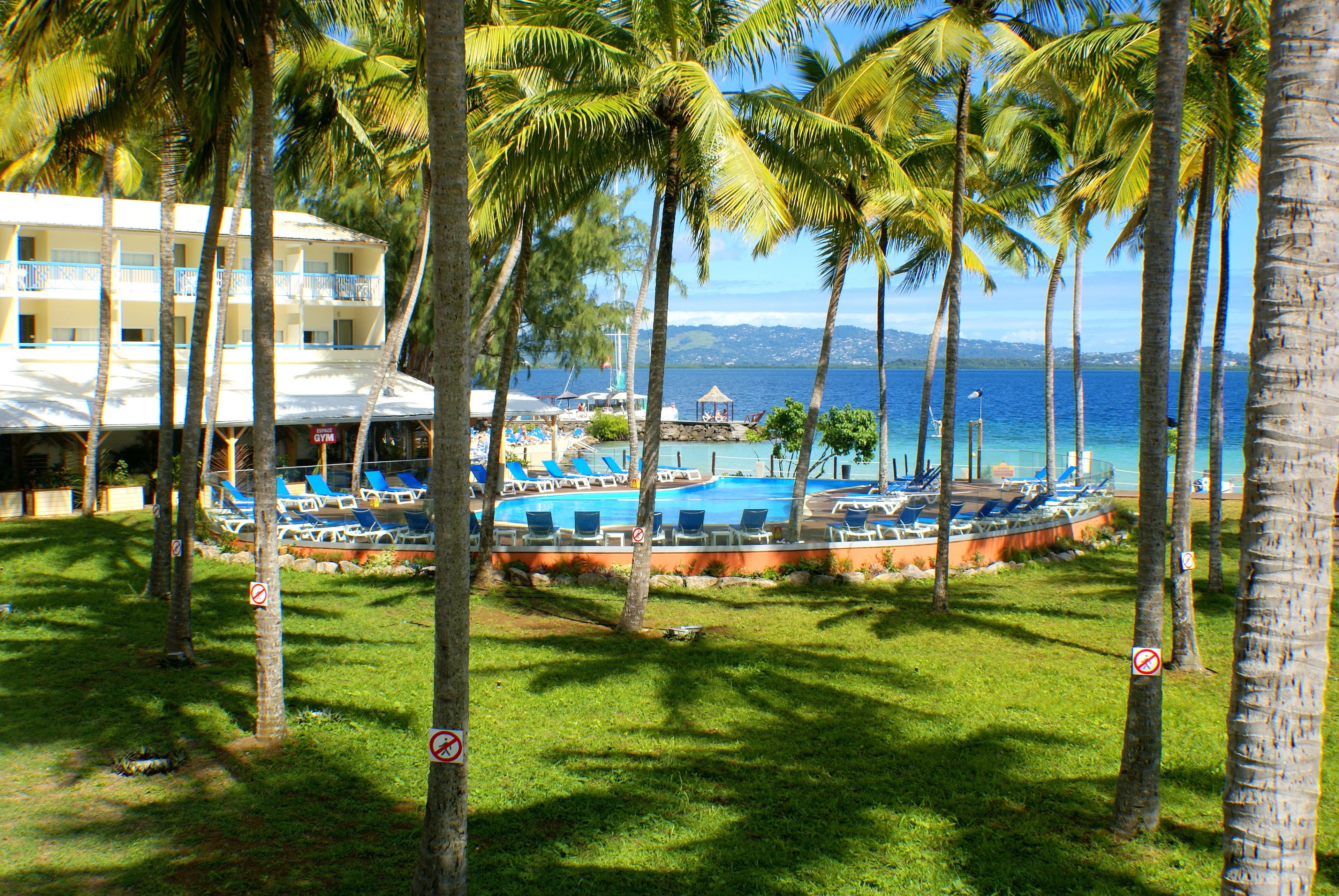A resort with a pool area surrounded by palm trees, a building with a balcony, and a view of the ocean.