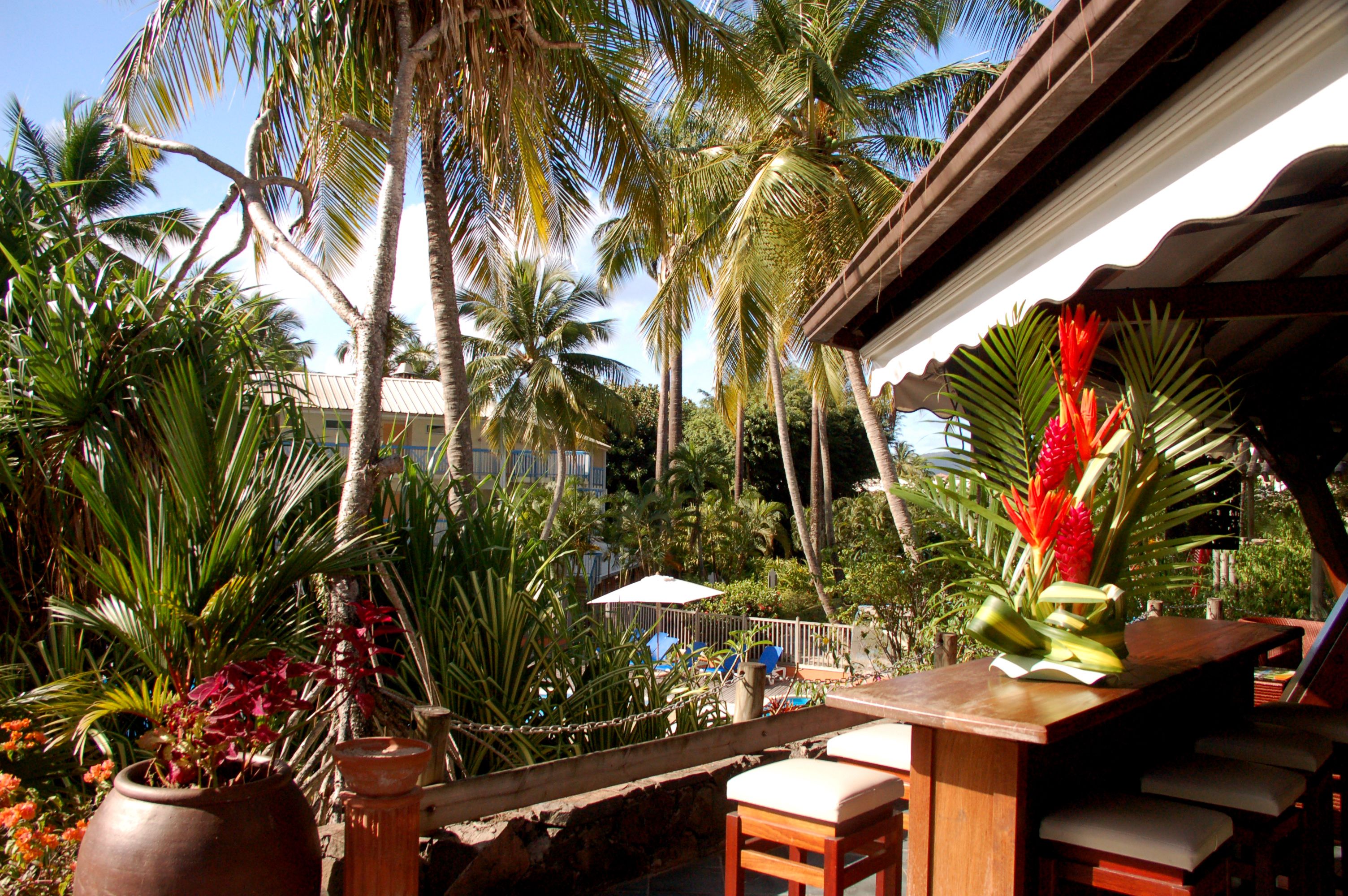 A tropical outdoor seating area with a wooden table and chairs, surrounded by lush greenery and palm trees.