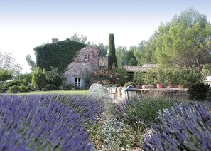 Property grounds - Mas de Fauchon (Saint-Cannat)