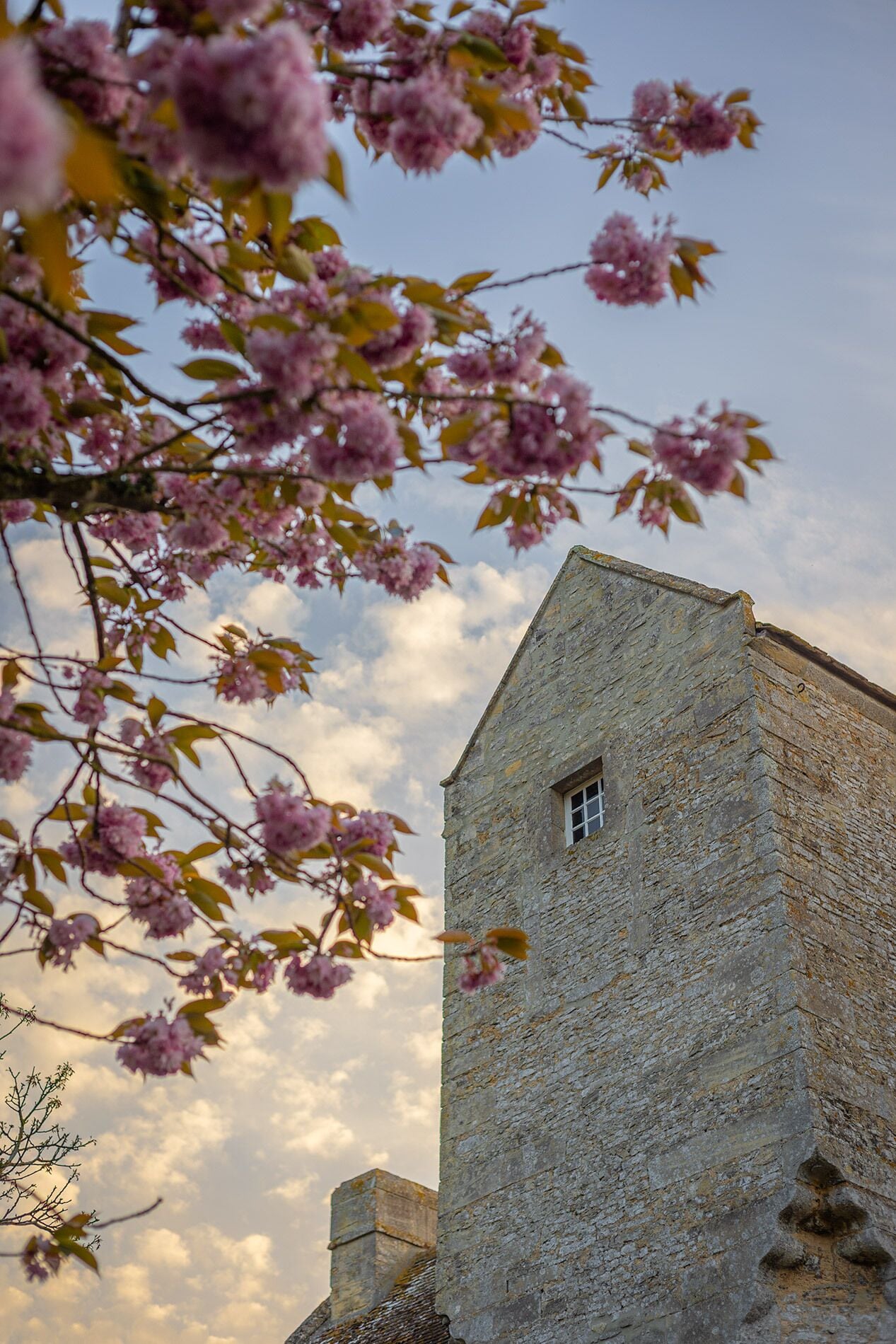 Detalle exterior