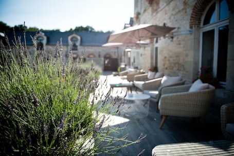 Terrace/patio. Domaine De Barive