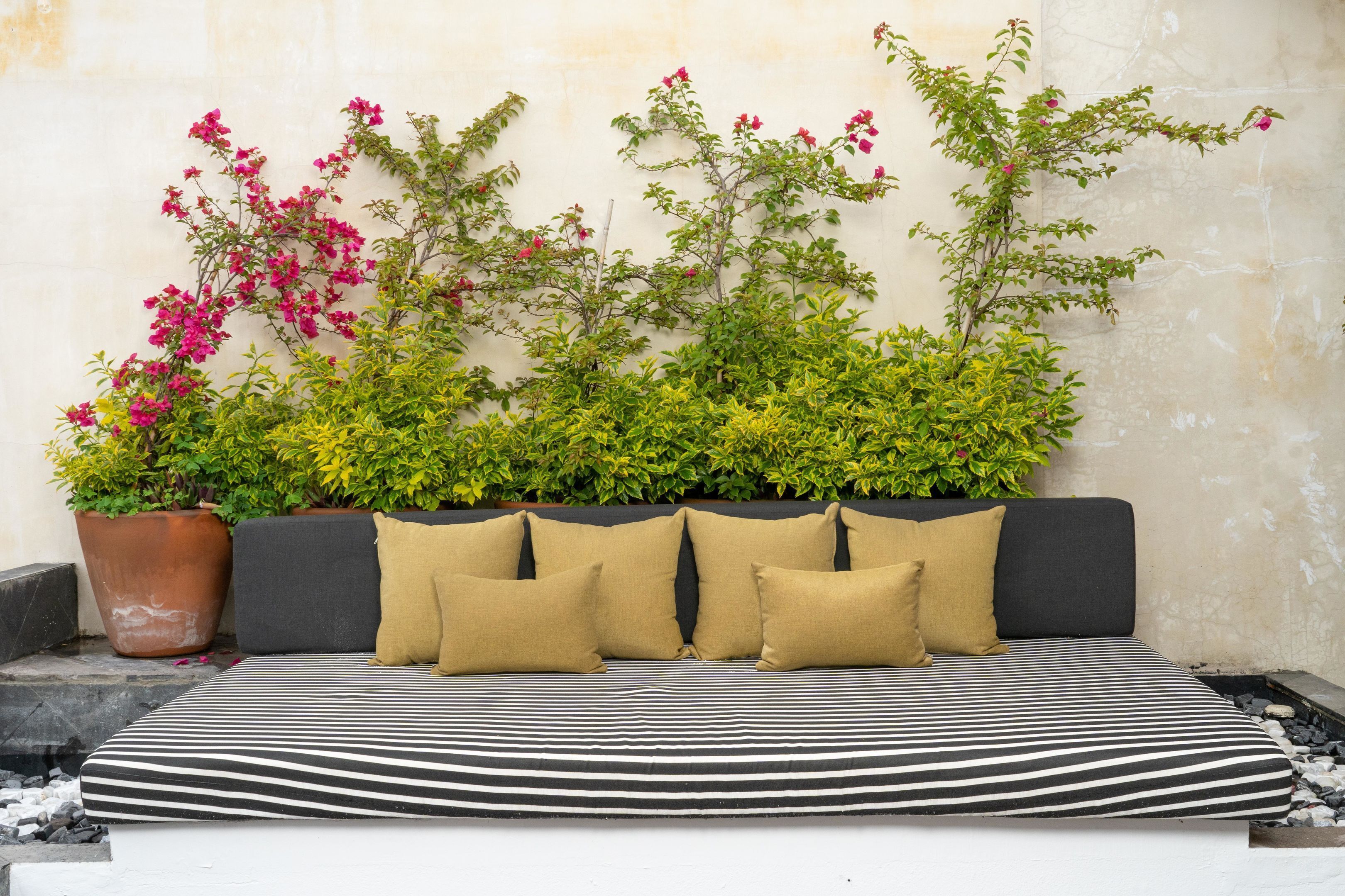 Un lit avec une couvre-lit à rayures, une tête de lit noire et des oreillers de couleur beige.