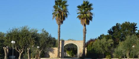 A paved road leading to a stone archway with two palm trees on either side.