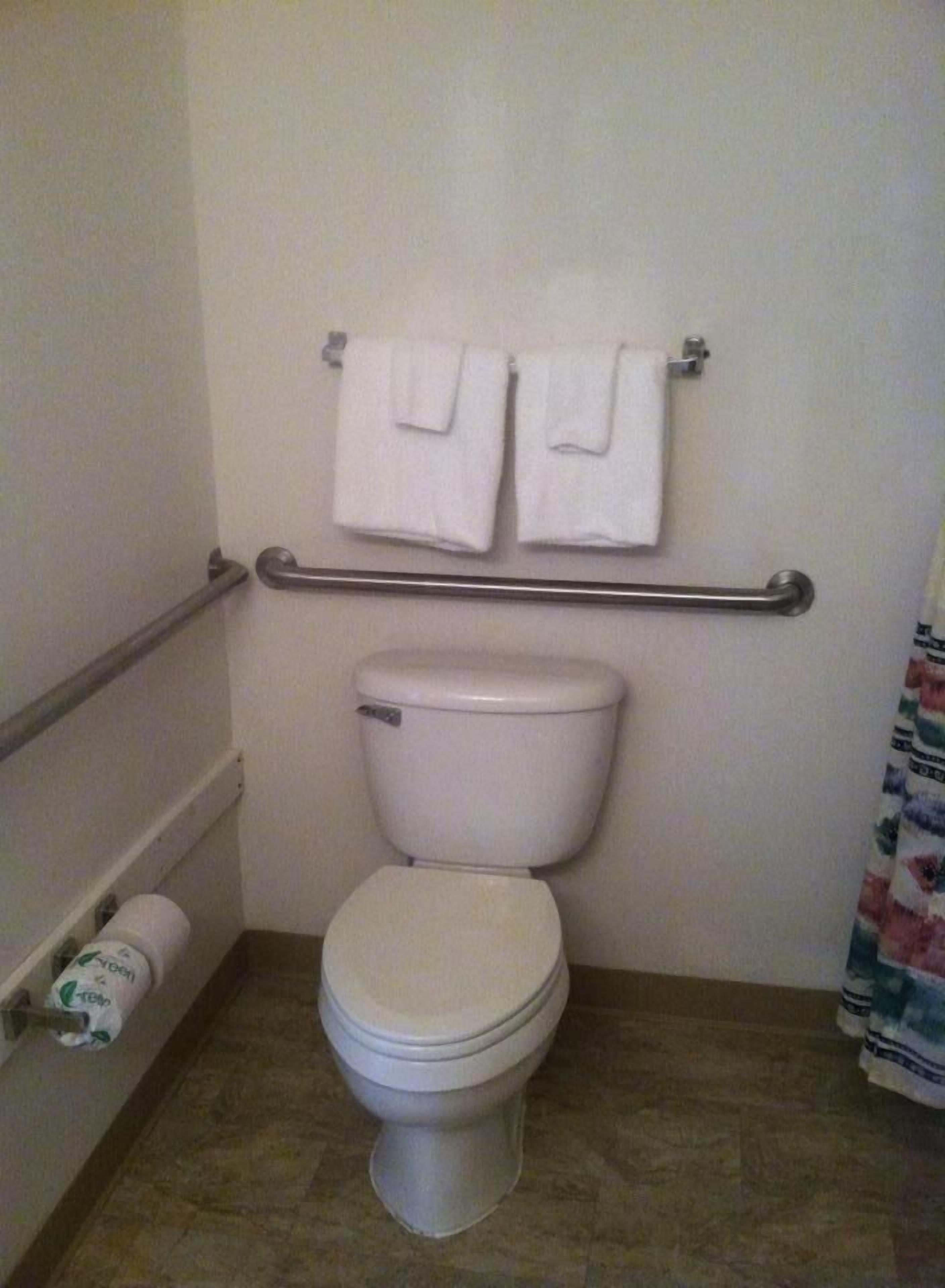 Une salle de bain standard équipée de toilettes, d’une barre d’appui et de deux serviettes suspendues à un porte-serviettes.