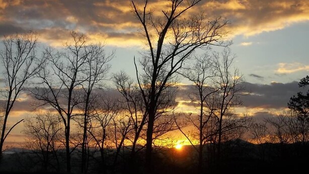 A sunset with bare trees silhouetted against a colorful sky. - Douglas Inn & Suites (Blue Ridge)