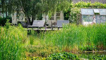 Een rustige tuin met een vijver, omringd door weelderige begroeiing en een tuinkamer.